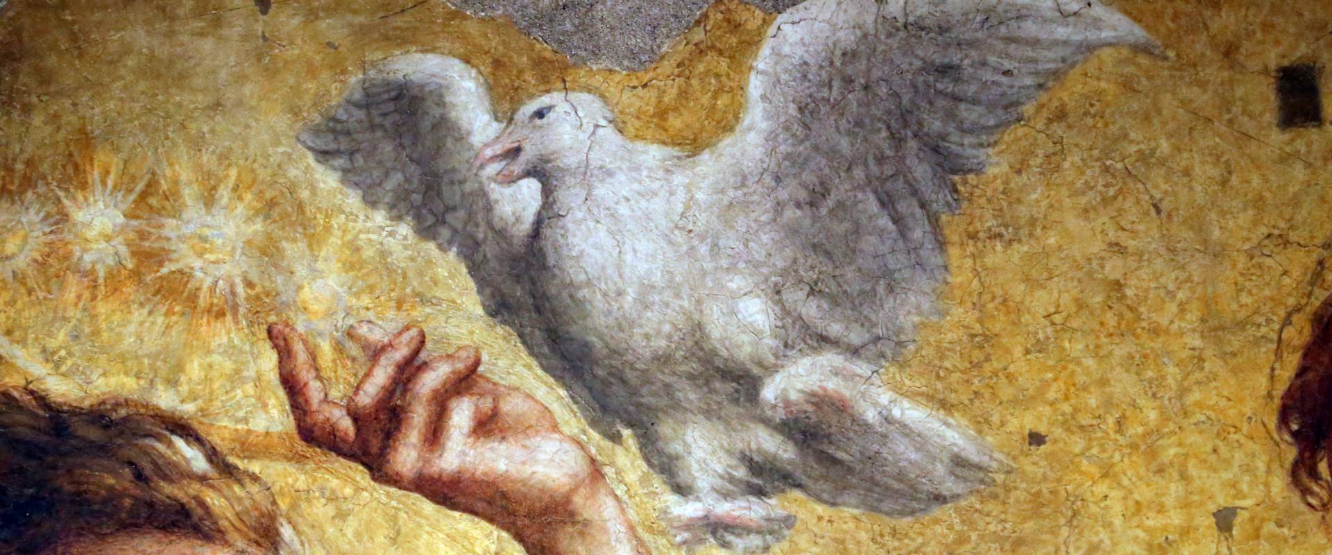 Correggio incoronazione della vergine, 1522 ca., da san giovanni evangelista, 03 colomba dello spirito santo photo by Sailko